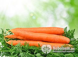 Калорийность моркови