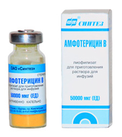 Концентрат для приготовления раствора Амфотерицин B