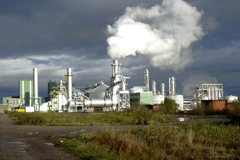 Промышленные выбросы влияют на экологию и здоровье человека