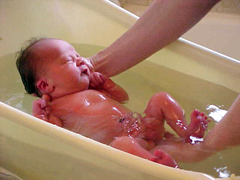 Молодых родителей всегда волнует вопрос - как купать новорожденного