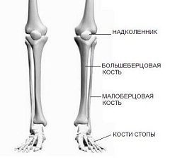 малая берцовая кость болит малая берцовая кость болит