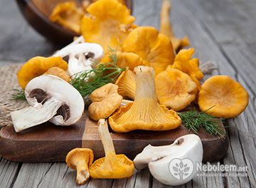 Калорийность шампиньонов и белых грибов