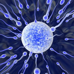 Диагностика олигоастенотератозооспермии проводится на основе данных результатов анализа спермограммы