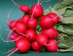 Редис - один из продуктов, которые особенно полезно есть весной