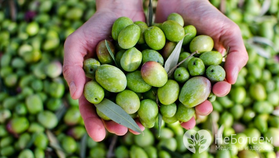Калорийность продуктов масло оливковое Калорийность продуктов масло оливковое