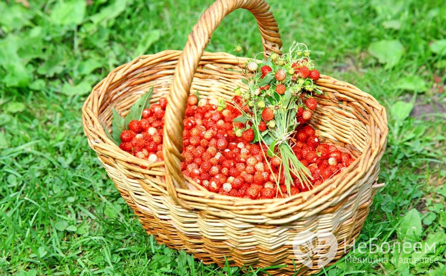 Земляника и черника полезны для сердца - Кулинарные новости Земляника и черника полезны для сердца - Кулинарные новости