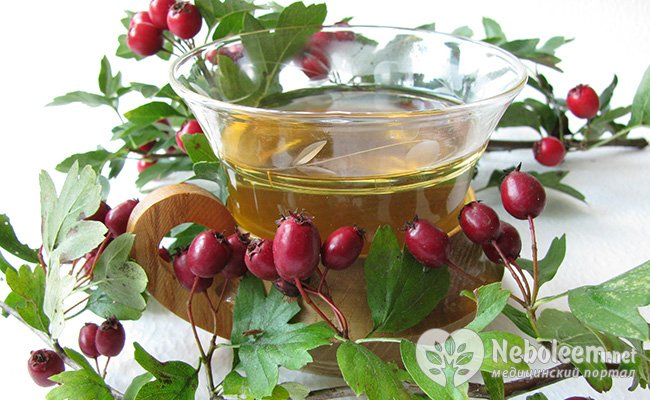 Рецепт чая с боярышником и шиповником Рецепт чая с боярышником и шиповником