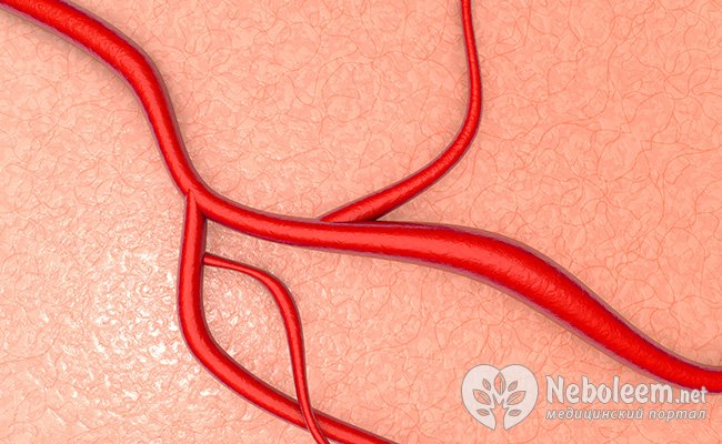 как употреблять тыквенные семечки от глистов как употреблять тыквенные семечки от глистов
