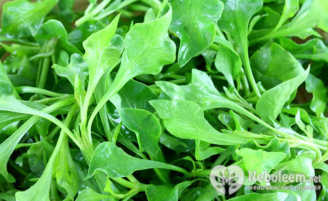 продукты для очищения кишечника при запорах продукты для очищения кишечника при запорах
