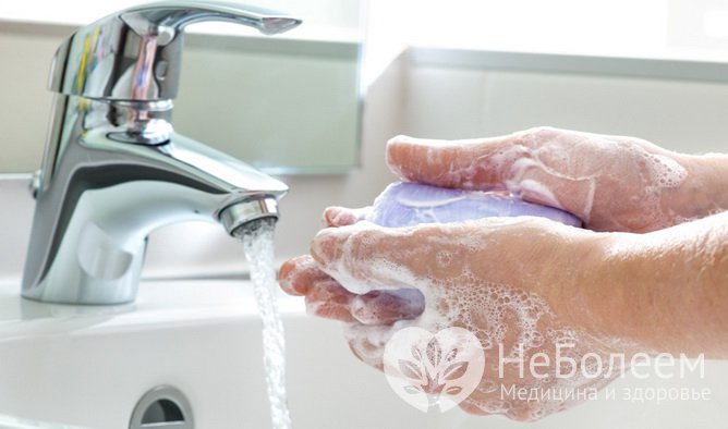 Тому, кто часто моет руки, гельминтоз не грозит