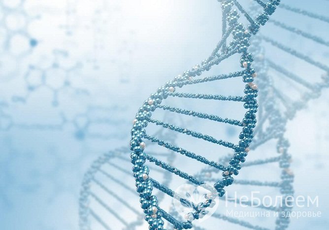 Анемия Фанкони наследуется по аутосомно-рецессивному типу – ребенок должен получить мутированных ген от обоих родителей
