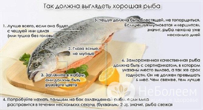 Правильный выбор, хранение и приготовление рыбы – основа профилактики анизакидоза
