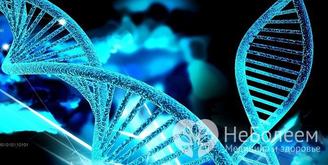 Ученые предполагают, что основной причиной развития АДПЖ является генетическая мутация