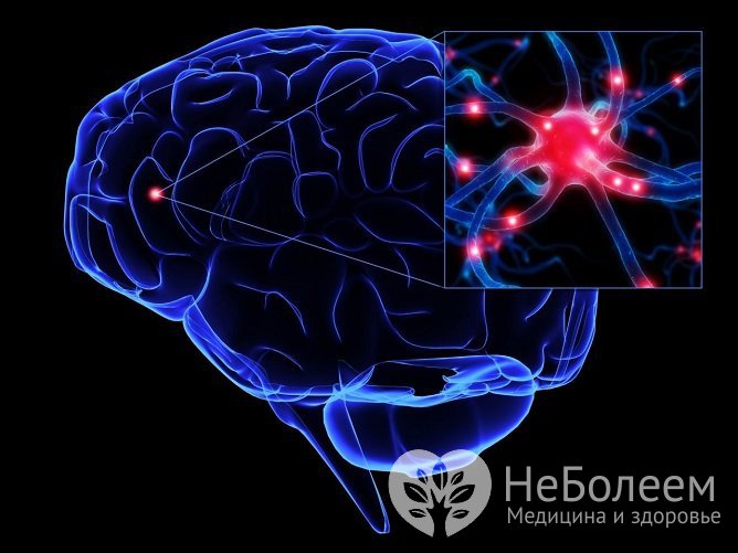Болезнь Паркинсона возникает вследствие гибели нейронов головного мозга