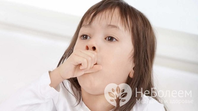 Непродуктивный кашель и затрудненный выдох – симптомы бронхиальной астмы у ребенка