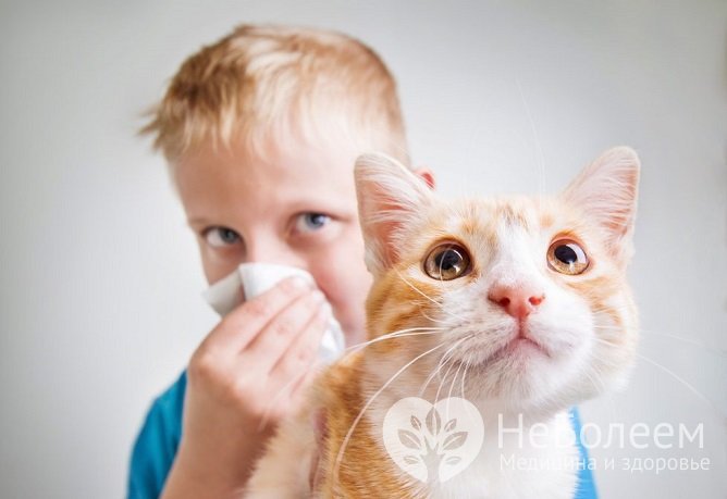 Для эффективного лечения бронхиальной астмы у ребенка важно выявить аллерген и устранить его