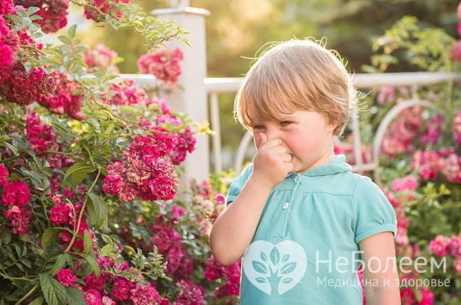 Бронхит у детей может развиваться вследствие аллергии на пыль, пыльцу, продукты питания