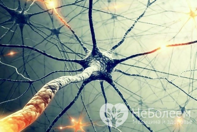 В результате разрушения нервных клеток происходит нарушение обмена информации между мозгом и телом