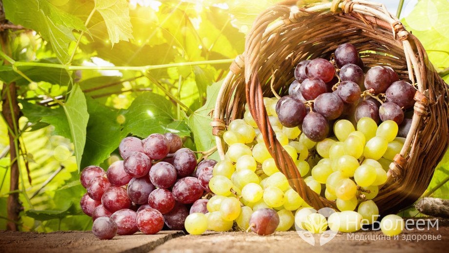 Как происходит отравление виноградом?