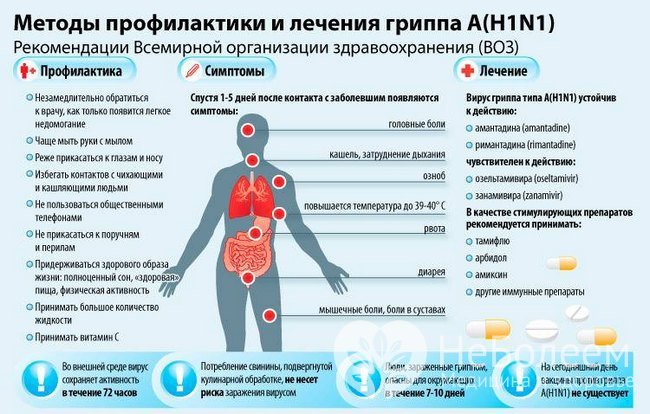 Методы профилактики и лечения свиного гриппа