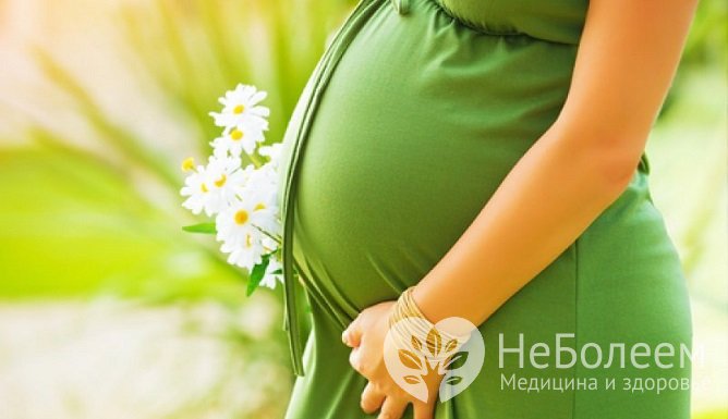 Беременные женщины относятся к группе риска заражения вирусом Эпштейна-Барр