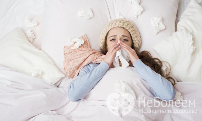 Ошибки, часто допускаемые при гриппе