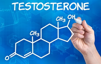 8 интересных фактов о тестостероне
