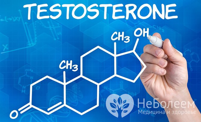 Тестостерон: интересные факты
