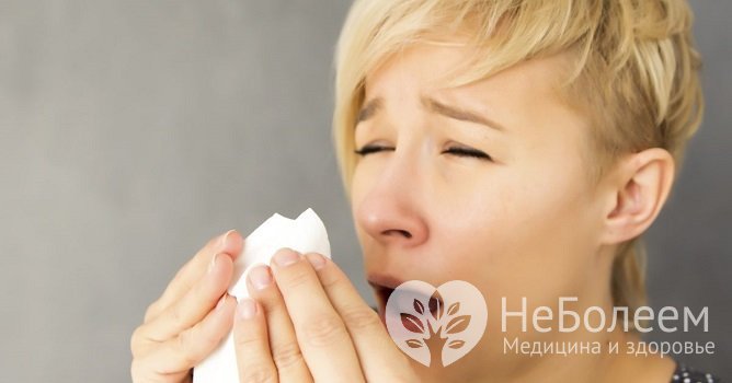 Один из основных симптомов ринита аллергической этиологии – многократное чихание