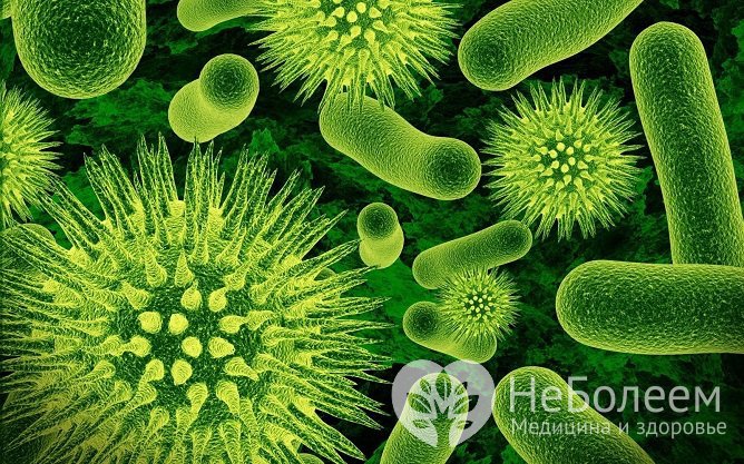При вирусной или грибковой инфекции, протекающей без осложнений, принимать антибиотики не следует