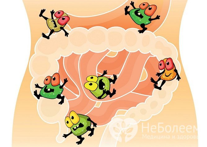 Дисбактериоз означает изменение микробного состава толстой кишки