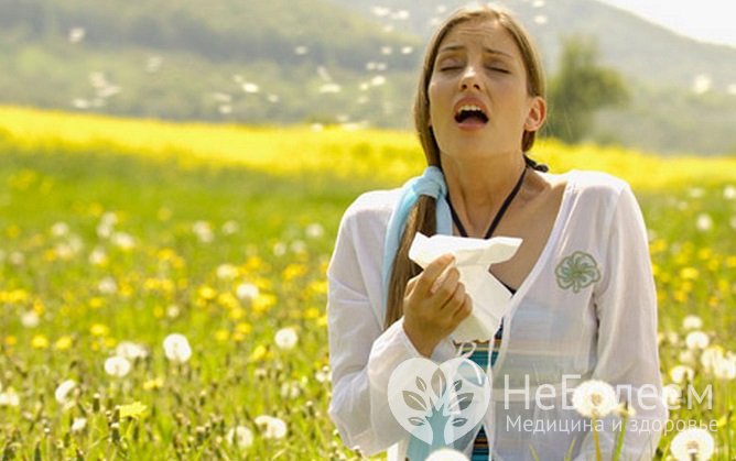 Атопическая бронхиальная астма развивается у предрасположенных людей под воздействием сильных аллергенов, например, пыльцы растений
