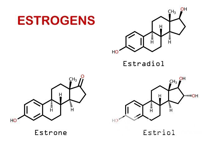 Эстроген это не один гормон, а обобщающее название для трех женских стероидных гормонов