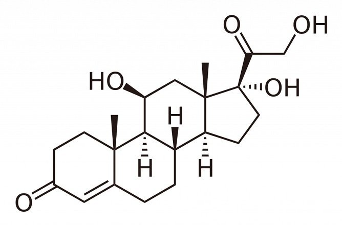 Кортизол, или гидрокортизон - так называемый гормон стресса, который отвечает за защитные реакции организма в случае внешней угрозы