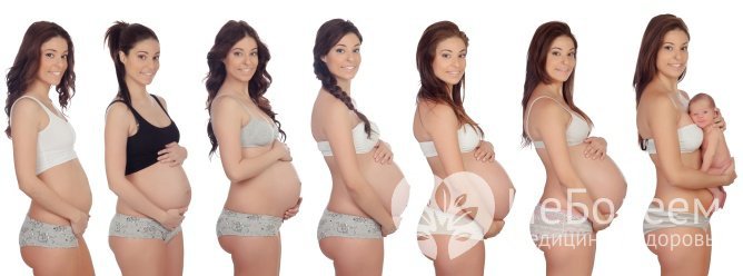 Содержание кортизола в норме повышается во время беременности и лактации