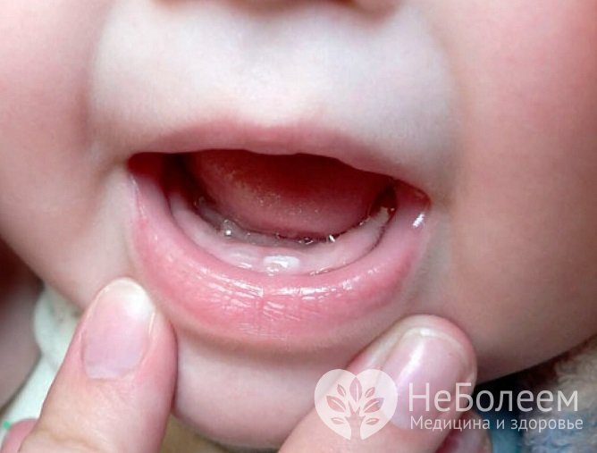 Причиной кашля у малыша может быть прорезывание зубов, в этом случае никаких лекарств от кашля ему не требуется