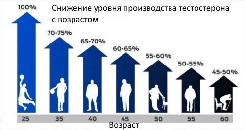 Норма биологически доступного тестостерона у женщин Норма биологически доступного тестостерона у женщин