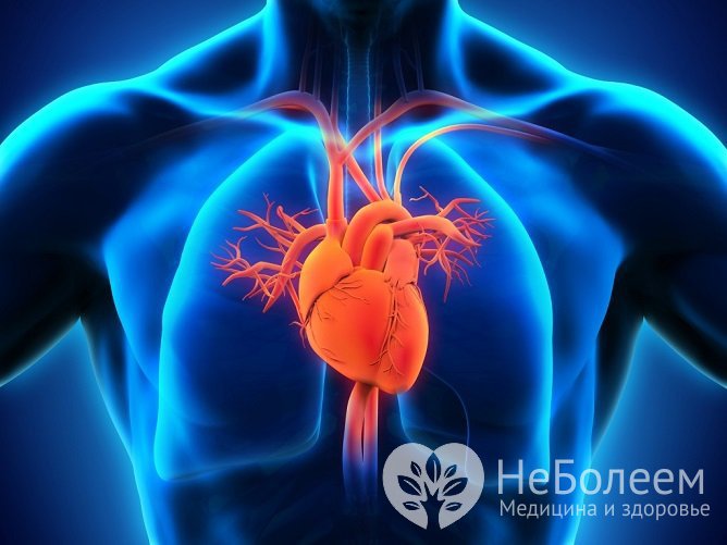 Осложнения на сердце относятся к числу наиболее опасных, при их развитии обычно требуется госпитализация