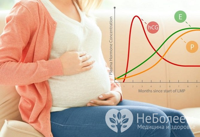 Повышенный прогестерон является физиологической нормой во время беременности, он способствует ее сохранению