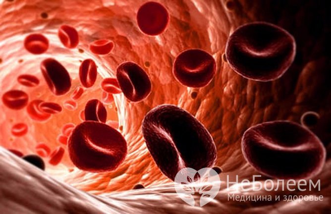 Количество эритроцитов в крови у ребенка повышается при обезвоживании