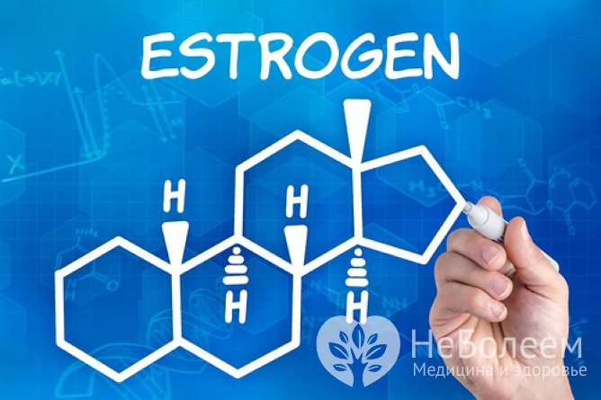 Эстрогены - основные женские гормоны, их избыток вызывает серьезный дисбаланс в организме