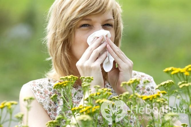 Как справиться с сезонной аллергией?