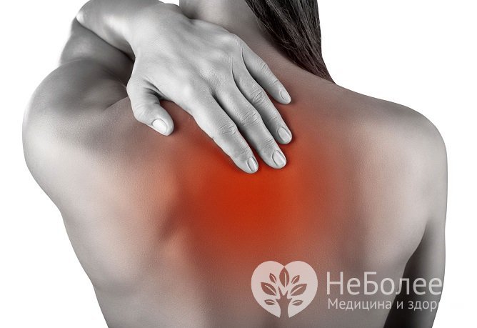Шейно-грудной остеохондроз в клинической практике встречается очень часто