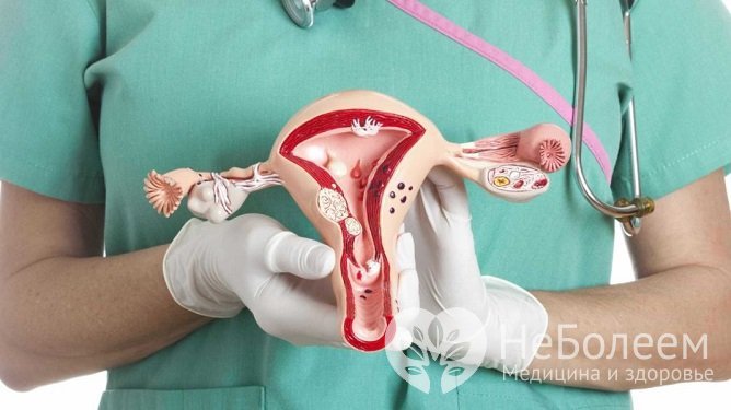 Образование плацентарного полипа может происходить после родов, аборта или выкидыша