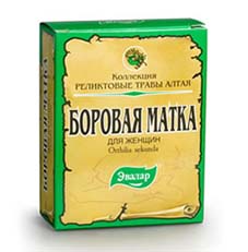 Лечение миомы матки при помощи трав боровой матки