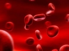 Лимфолейкоз – злокачественное поражение лимфоидных клеток
