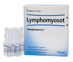 Раствор для внутримышечного введения гомеопатический Лимфомиозот