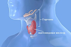 Профилактика болезней щитовидной железы