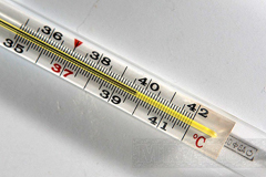 Повышение температуры тела - благо или вред