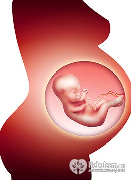 Поздний аборт - сроки, методы и технологии